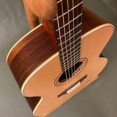 K.Yairi BL-95A CTM_4