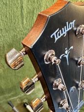 Taylor 【横浜大楽器祭 特別販売品】724ce V-Class -Hawaiian Koa- 2022USED【48回迄金利0%対象】【送料当社負担】_5