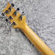 Paul Reed Smith [PRS] CE 22 Bolt-On Maple-Top -Emerald Green-_10