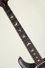 Paul Reed Smith [PRS] Special Semi-Hollow Gray Black 2024 S/N : 0386009_7