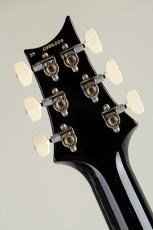 Paul Reed Smith [PRS] Special Semi-Hollow Gray Black 2024 S/N : 0386009_9