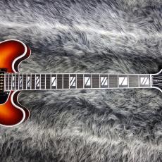 Gibson ES Supreme Bourbon Burst_5