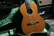 加納木魂 (Kodama Kanoh) #40 1995