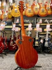 Epiphone Limited Edition Wildkat -Trans Orange- 2008年製 【3.55kg】_3