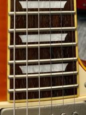 Edwards E-LP-98LTS -Vintage Honey Burst- 2010年製 【Deep Joint!】【Seymour Duncan Pickups!】【軽量3.54kg!】_10