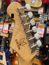 Black Cloud 【Bonus Sale】 Custom Made Sigma HSH -Tail Green Metallic / Brazilian Rosewood- 2019年製_11