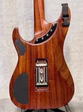 Washburn N4 Nuno Padauk -Natural- 2005年製【Refrets】_3