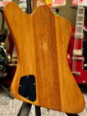 Gibson 【Bonus Sale】 1979 Firebird 76 Bicentennial -Natural- 【Refrets!】【Vintage】_4