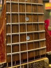 Gibson 【Bonus Sale】 1979 Firebird 76 Bicentennial -Natural- 【Refrets!】【Vintage】_10