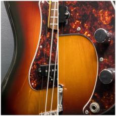 FUJIGEN 【ボーナスセール!!】NPB100RAL -3Tone Sunburst-【4.26kg】_5