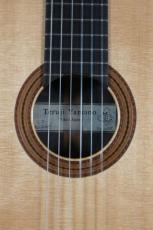 山野輝慈 ハウザーⅠ世　松/ハカランダ単板_5