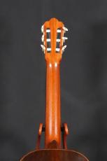 山野輝慈 ハウザーⅠ世　松/ハカランダ単板_6