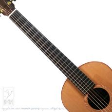 Lowden The Wee Lowden WL-25 IR/RC【36回無金利キャンペーン発動中!】_5