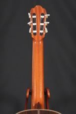 辻渡 S-2　松/ローズウッド単板　美品_6