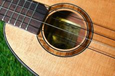 Sonny D Pineapple Concert Longneck【USED】_10