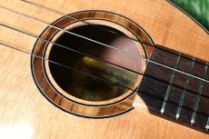 Sonny D Pineapple Concert Longneck【USED】_15