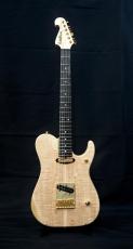 Washburn NELE DELUXE_2