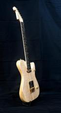 Washburn NELE DELUXE_4