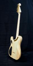 Washburn NELE DELUXE_5