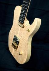 Washburn NELE DELUXE_7