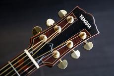 YAMAHA Lカスタム・ハカランダ　テリー中本さんデザイン　L-51&L-52融合モデル　 セール期間限定価格_2