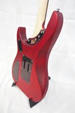 Washburn N24 NUNO VINTAGE PADAUK_8