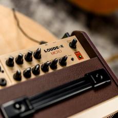 FISHMAN フィッシュマン Loudbox Micro Amplifier [PRO-LBT-400] 【日本総本店2F 在庫品】_5