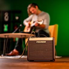 FISHMAN フィッシュマン Loudbox Micro Amplifier [PRO-LBT-400] 【日本総本店2F 在庫品】_9