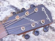 Kalamazoo Sport Model_5