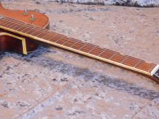 Gretsch 6119 Chet Atkins Tennessean '67_11