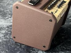 FISHMAN 【遂に入荷‼】【40W出力】LOUDBOX Micro【ショッピングクレジット無金利&超低金利キャンペーン】_5