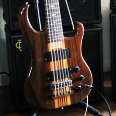 ALEMBIC vector 