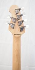 Sterling by MUSIC MAN AX40 Transparent Gold_9
