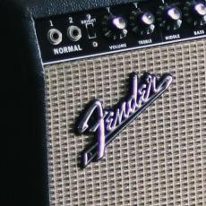 Fender 1966 Fender  Twin Reverb _2