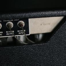 Fender 1966 Fender  Twin Reverb _5