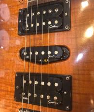 Godin FREEWAY SA with Roland GR-55S_4