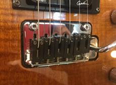 Godin FREEWAY SA with Roland GR-55S_5