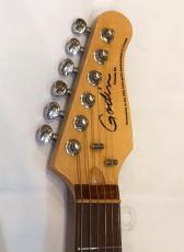 Godin FREEWAY SA with Roland GR-55S_9