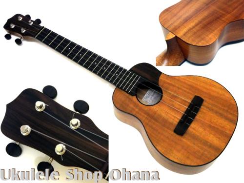 KIGE Work Shop [コンサート 16] カスタム ハワイアン・カーリーコア