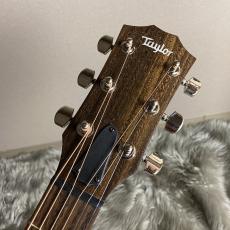 Taylor AD22e【American Dream】【現物画像】【最大36回分割無金利キャンペーン実施中】_8
