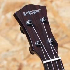 VOX VFU-1-CFM TB Concert_4