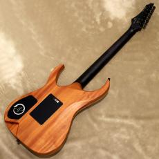 Valenti Guitars Callisto Carved, HSS Black_3