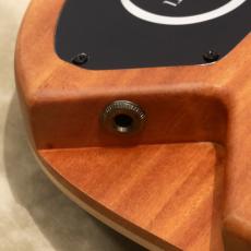 Valenti Guitars Callisto Carved, HSS Black_9