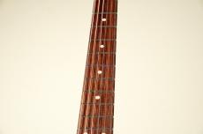 Suhr Standard Plus -Faded Trans Wine Red Burst- [3.53kg]_5