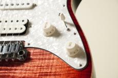 Suhr Standard Plus -Faded Trans Wine Red Burst- [3.53kg]_8