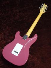 Paul Reed Smith [PRS] SE Silver Sky Dragon Fruit 【2022年製】(通販限定の長期在庫品特価)_2