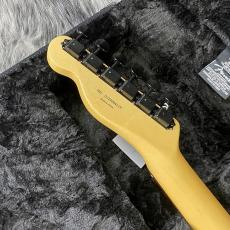 Fender Monster Hunter Rathalos Telecaster Rathalos Red_9