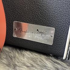 Fender Monster Hunter Rathalos Telecaster Rathalos Red_11