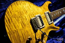 Paul Reed Smith [PRS] Private Stock Howard Leese "Golden Eagle" Limited Run 96/100 / 2009