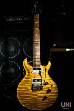 Paul Reed Smith [PRS] Private Stock Howard Leese "Golden Eagle" Limited Run 96/100 / 2009_2